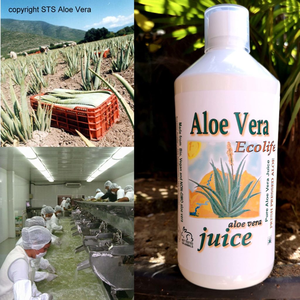 juice aloë vera Bio _ forevershop natuurlijke producten